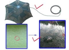 Powerex Balık Tuzağı (Pinter) Şemsiye Model 8 Girişli