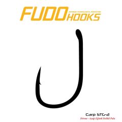 Fudo 2421 Carp Stg2 2 no. Black Nickel İğne