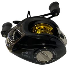 Powerex Gold 80 Baitcasting Makara (Sol El)